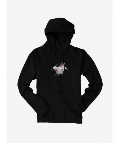 Batman Bat Logo Shine Hoodie $18.86 Hoodies