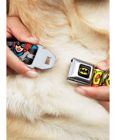 DC Comics Justice League Batgirl In Action Seatbelt Buckle Pet Collar $8.22 Pet Collars